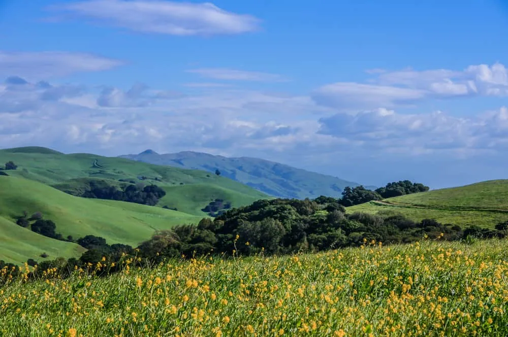 Commercial Roofing for Orinda Properties